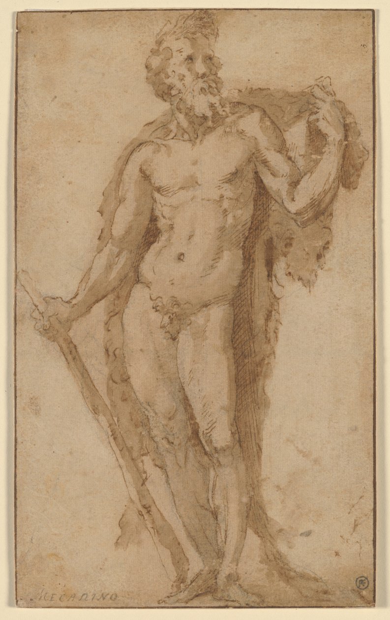 Hércules, de pé com uma clava de Domenico Beccafumi