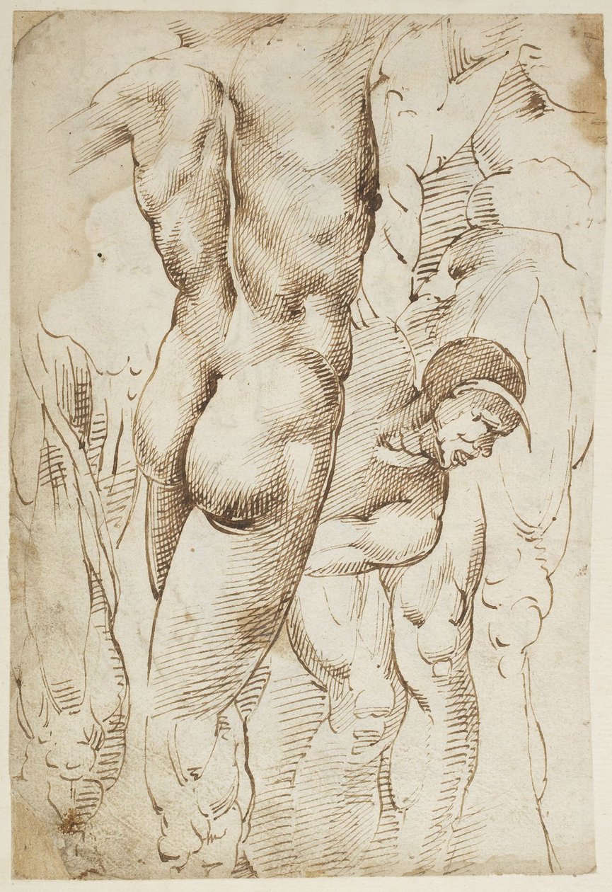 Estudos de pernas e nus masculinos de Domenico Beccafumi