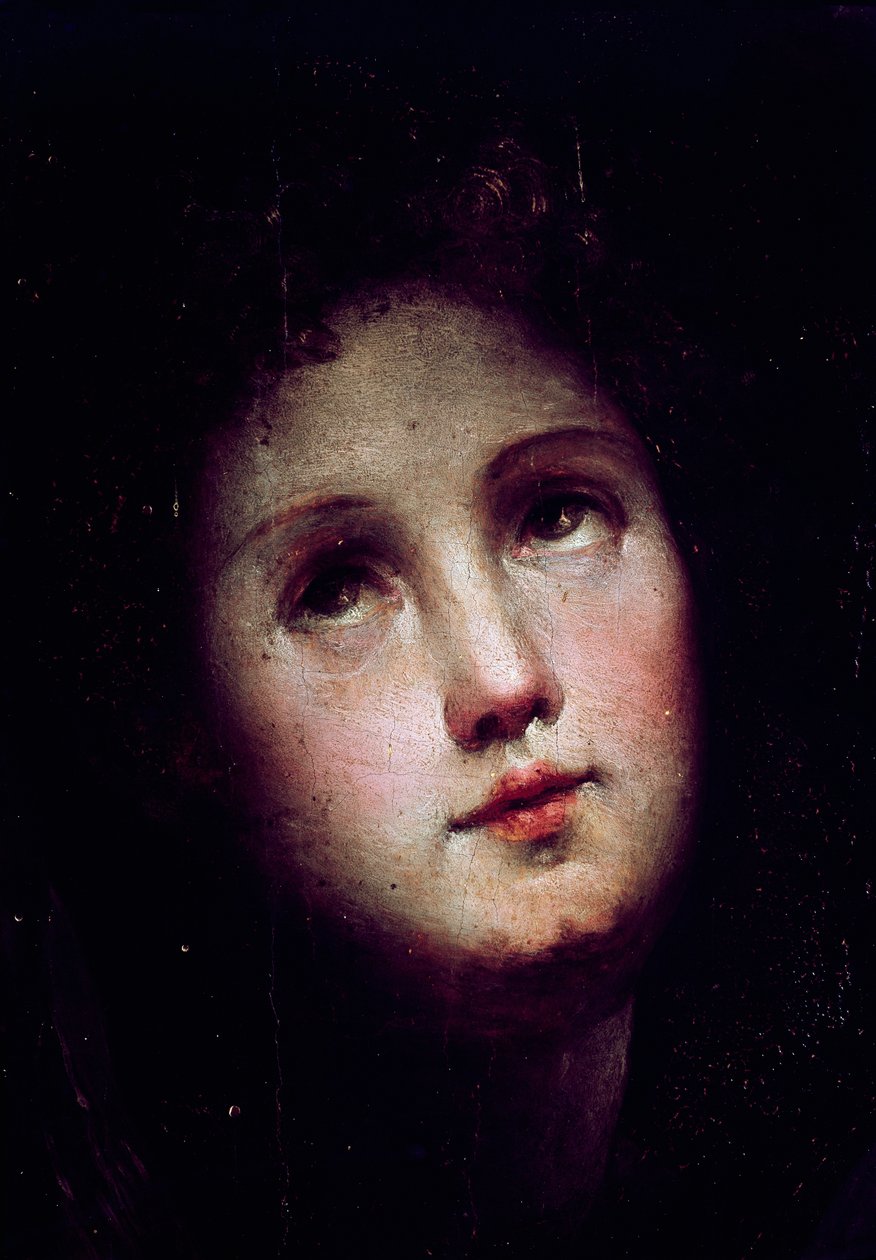 A descida de Cristo ao limbo. O detalhe do rosto de um jovem mergulha na escuridão (escuro) e olha em direção ao céu. Pintura de Domenico Beccafumi (1486-1551) de Domenico Beccafumi
