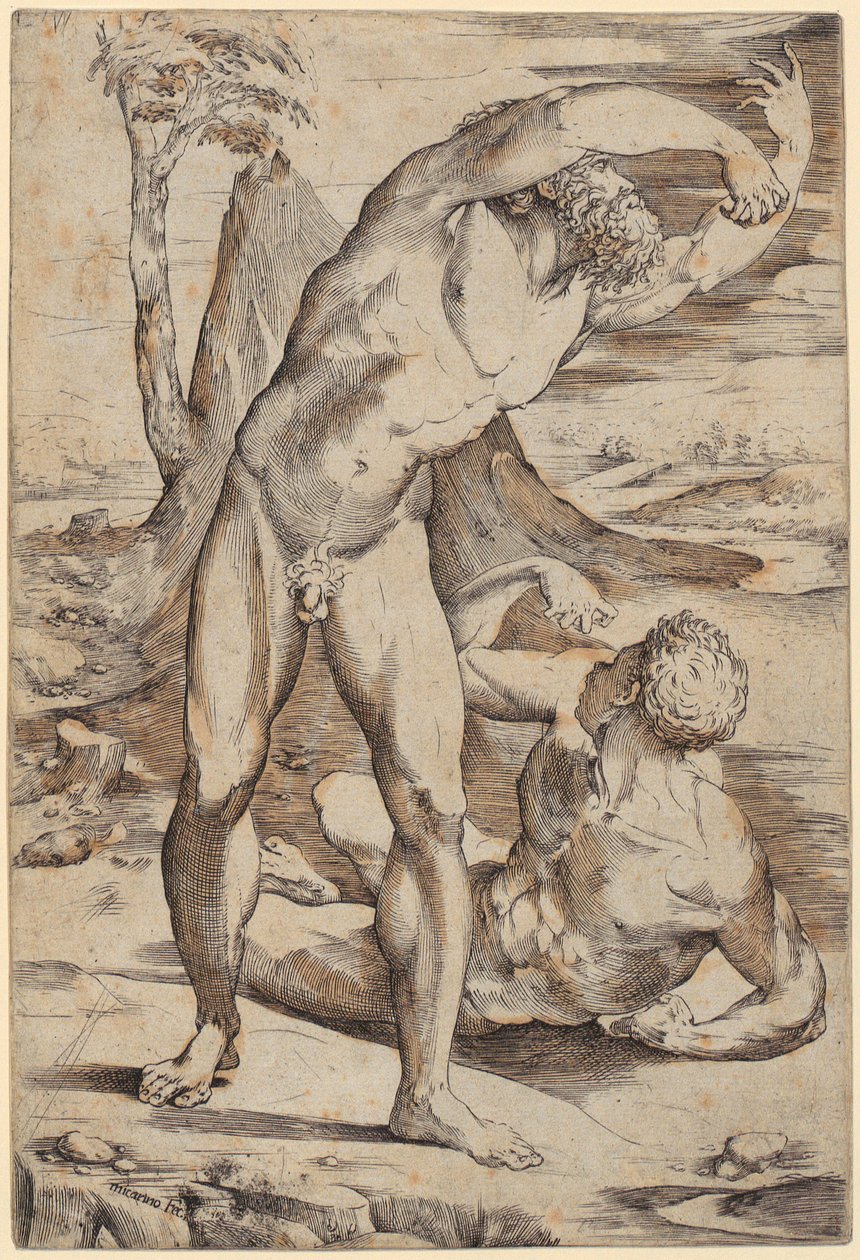 Dois homens nus numa paisagem de Domenico Beccafumi
