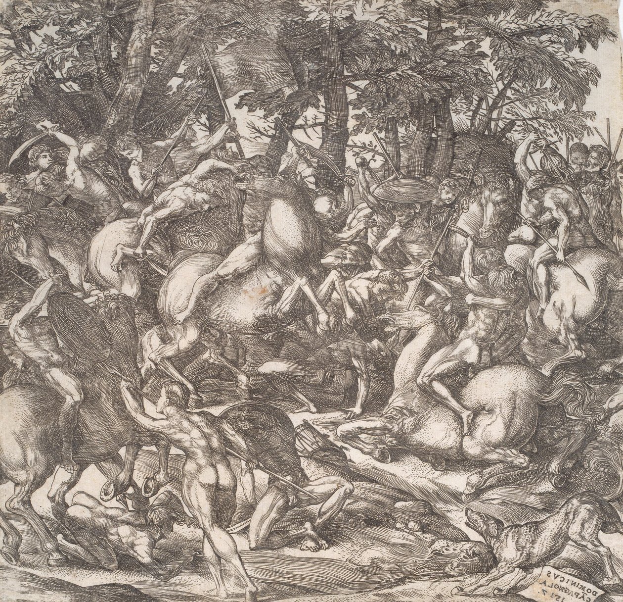 Competição equestre de Domenico Campagnola