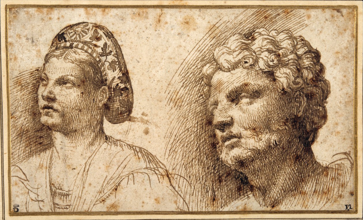 Estudo da cabeça e ombros de uma jovem mulher usando uma balza, e da cabeça de um homem barbudo (caneta e tinta sobre papel) de Domenico Campagnola