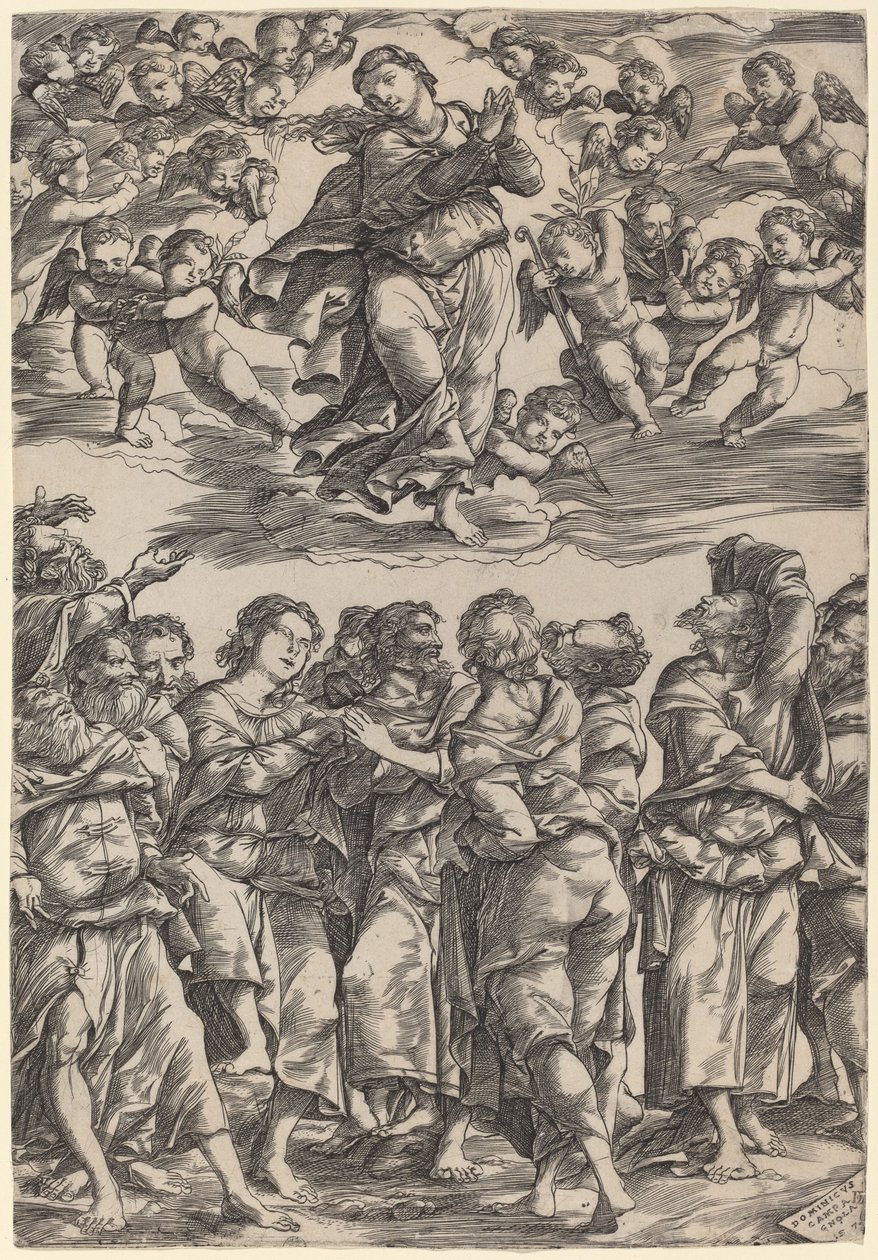 A Assunção da Virgem de Domenico Campagnola