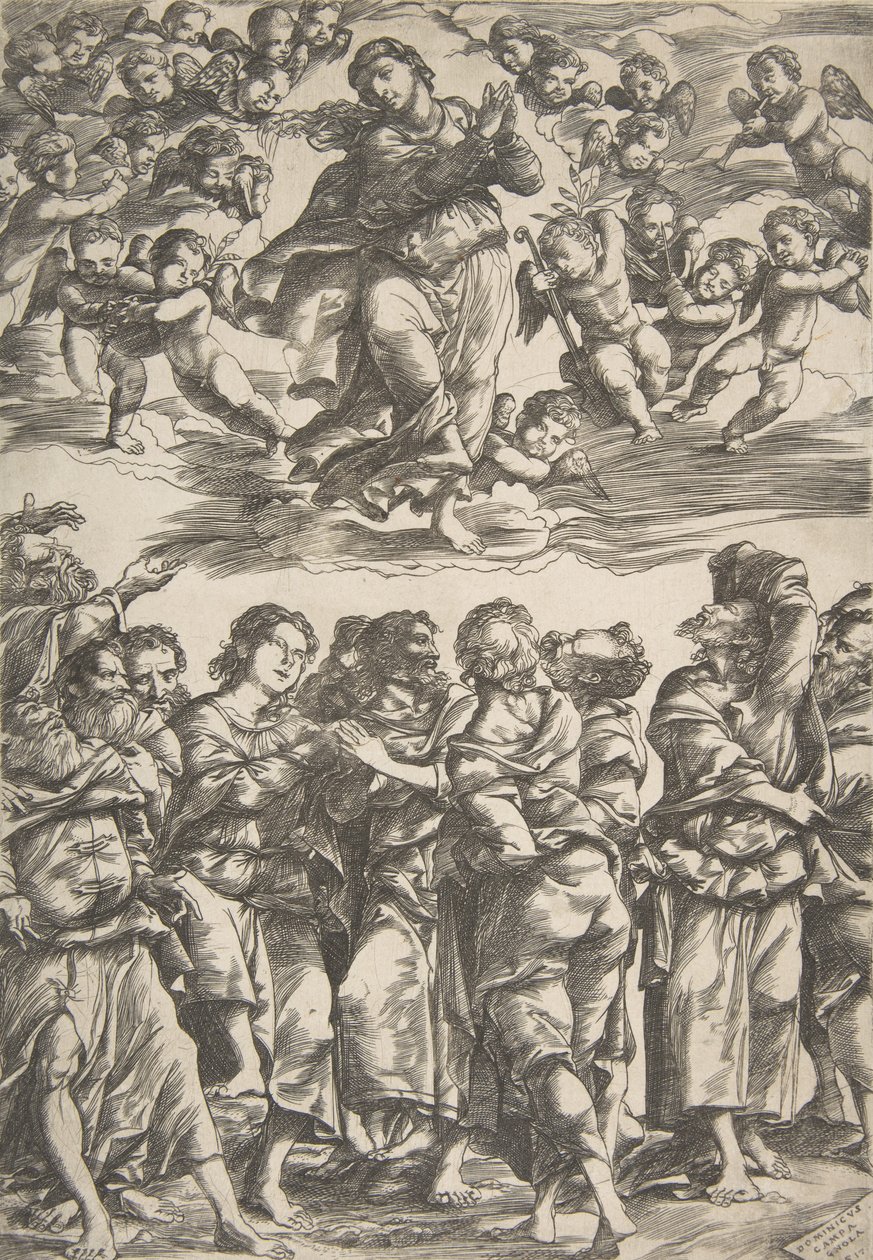 A Virgem no centro superior em nuvens com as mãos entrelaçadas e pé direito levantado, cercada por..., 1517. de Domenico Campagnola