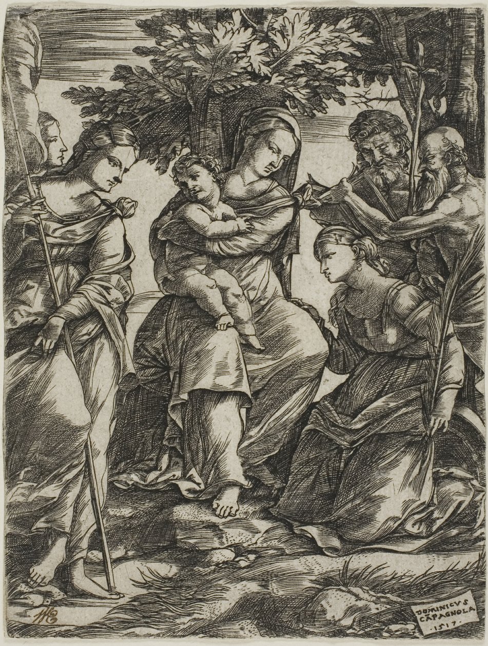 Virgem e Menino com Santos de Domenico Campagnola