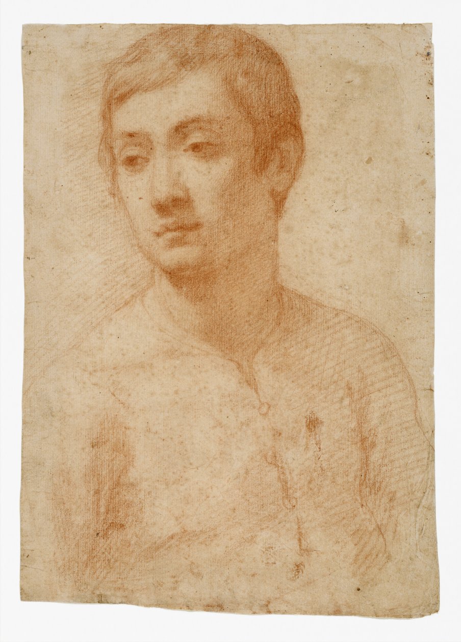 O Chefe de uma Juventude, c.1600-25 (giz vermelho sobre papel) de Domenico Cresti