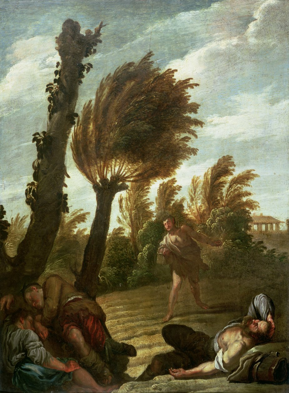 Parábola do Semeador de Taras, c.1620-21 de Domenico Fetti or Feti