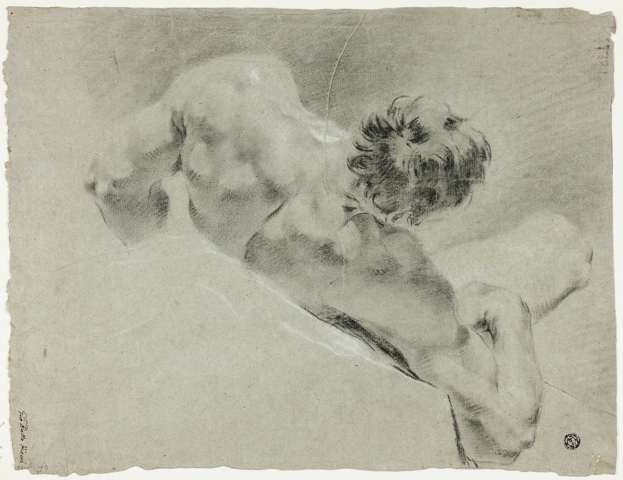 Nu masculino visto de costas de Domenico Maggiotto