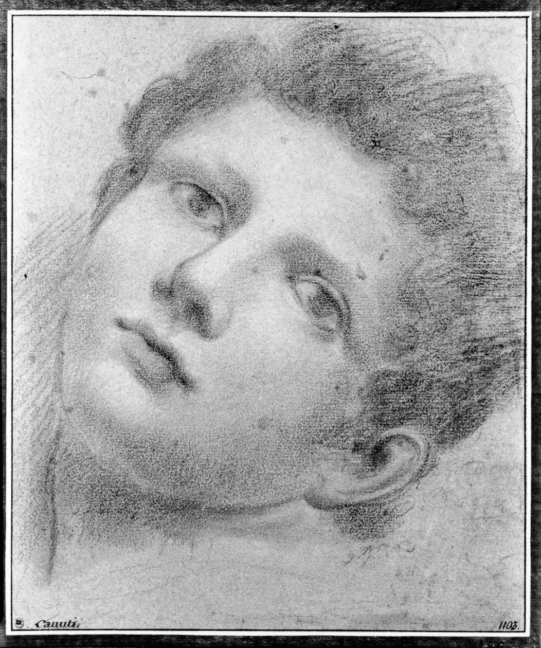 Cabeça de um jovem, inclinada para trás de Domenico Maria Canuti