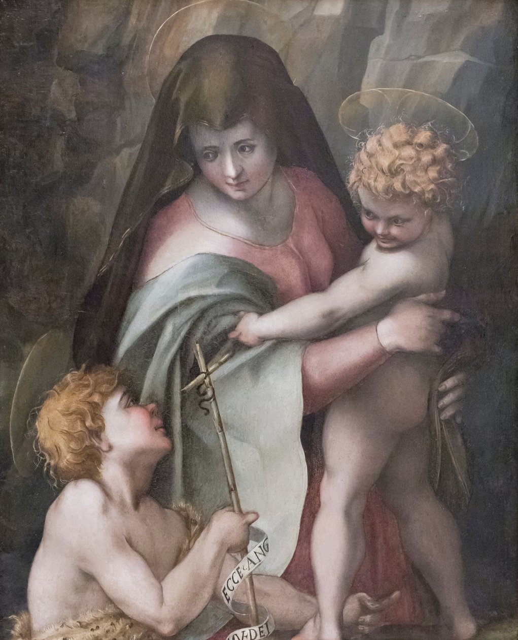 Madonna and Child with the Young St John, Domenico Puligo (óleo sobre painel) de Domenico Puligo