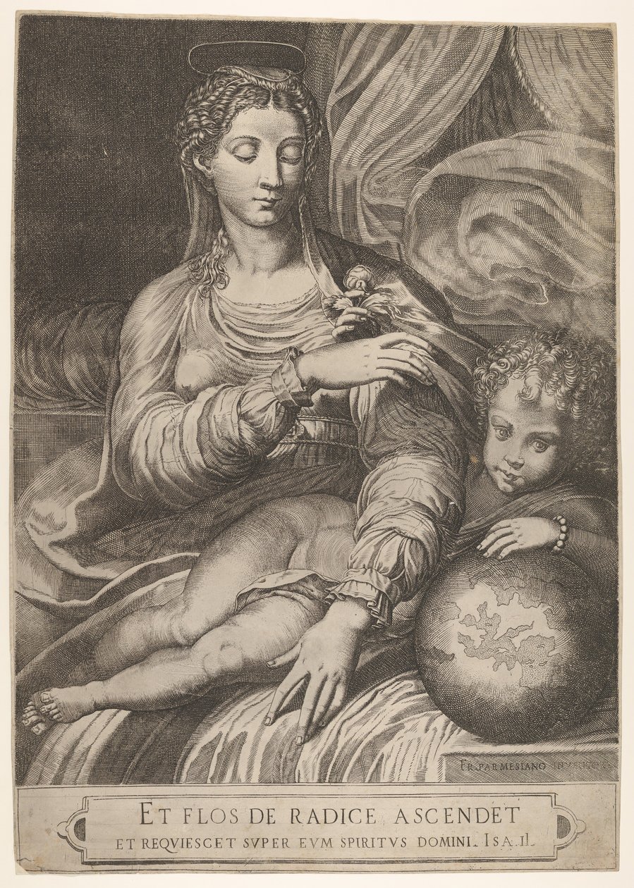 Floresta. de Domenico Tibaldi