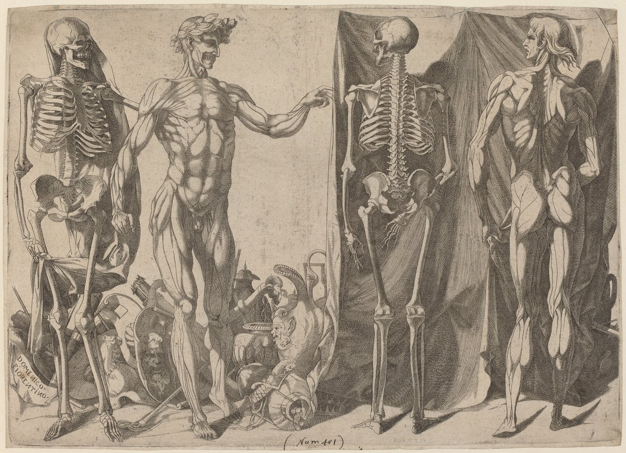 Esqueletos e peles de Domenico del Barbiere