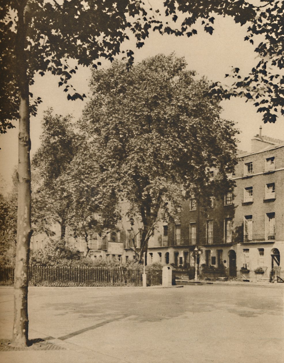 Em Landing-House: As árvores planas de Torrington Square, c1935. de Donald McLeish