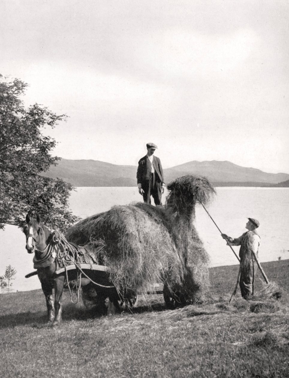 Carregando o feno em um vagão às margens do Loch Lomond, na Escócia, 1924-1926. de Donald McLeish