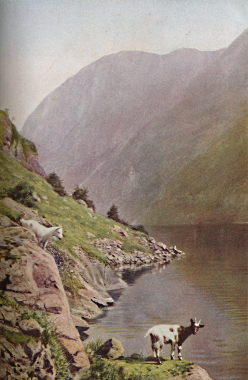 Noruega, c1930s de Donald McLeish