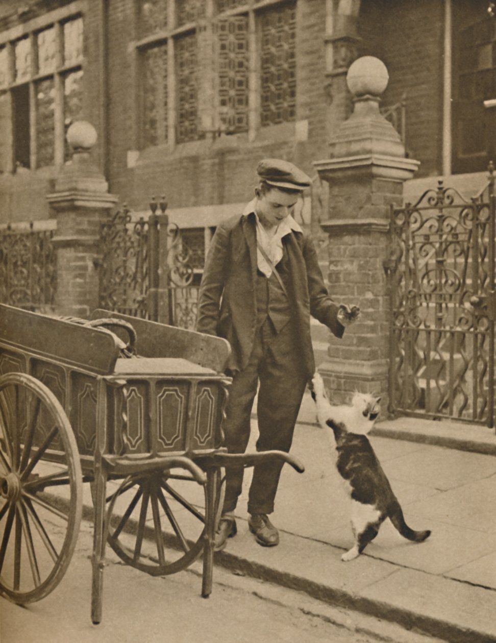 Um dos negócios mais bem estabelecidos: um cliente e o homem da carne de gato, c1935. de Donald McLeish