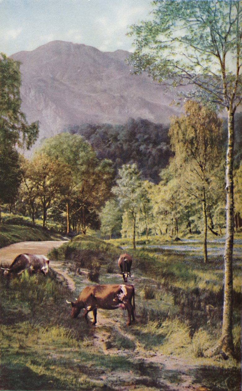 Escócia, c1930s de Donald McLeish