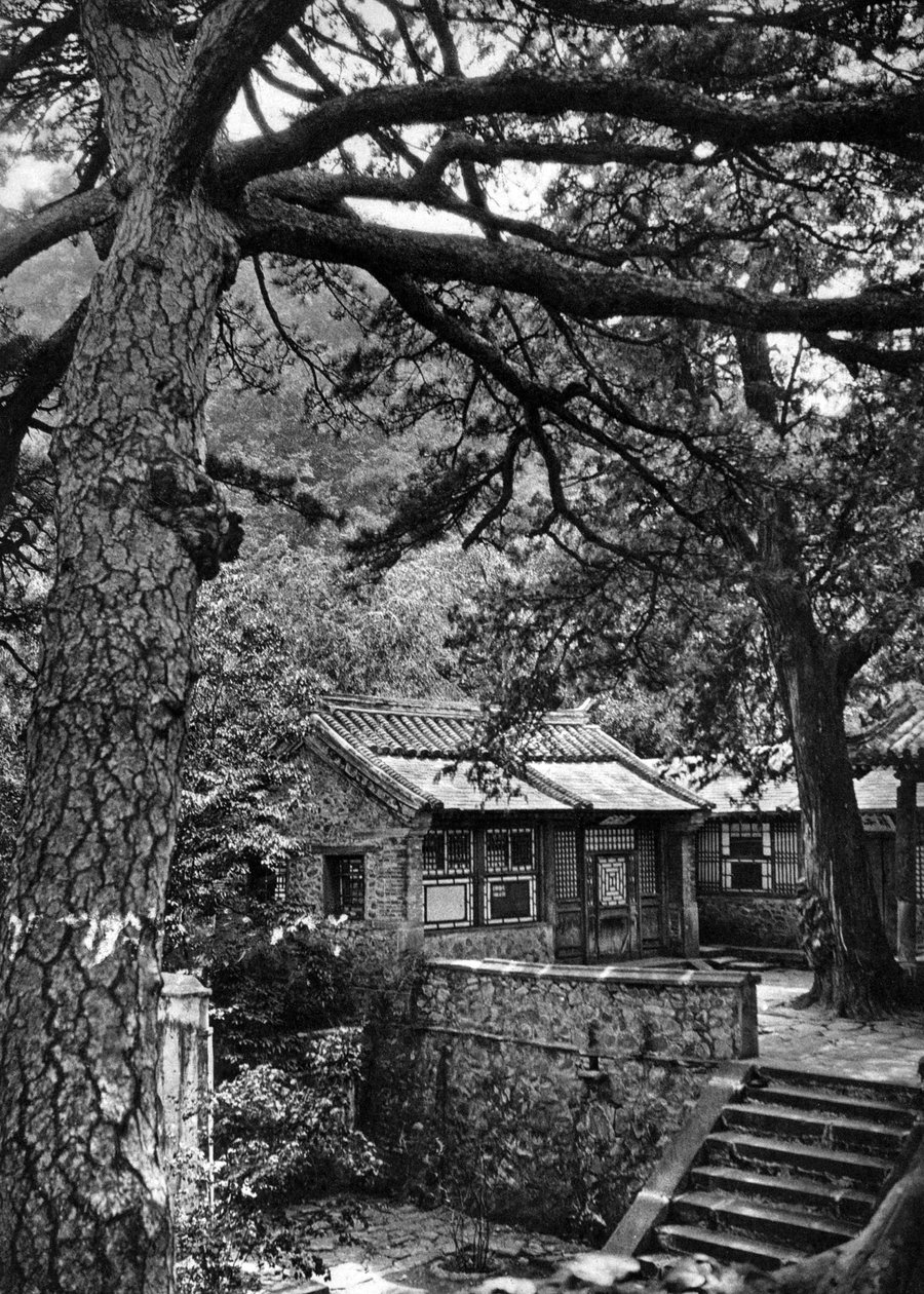 Western Hills, distrito de Haidan, Pequim de Donald Mennie