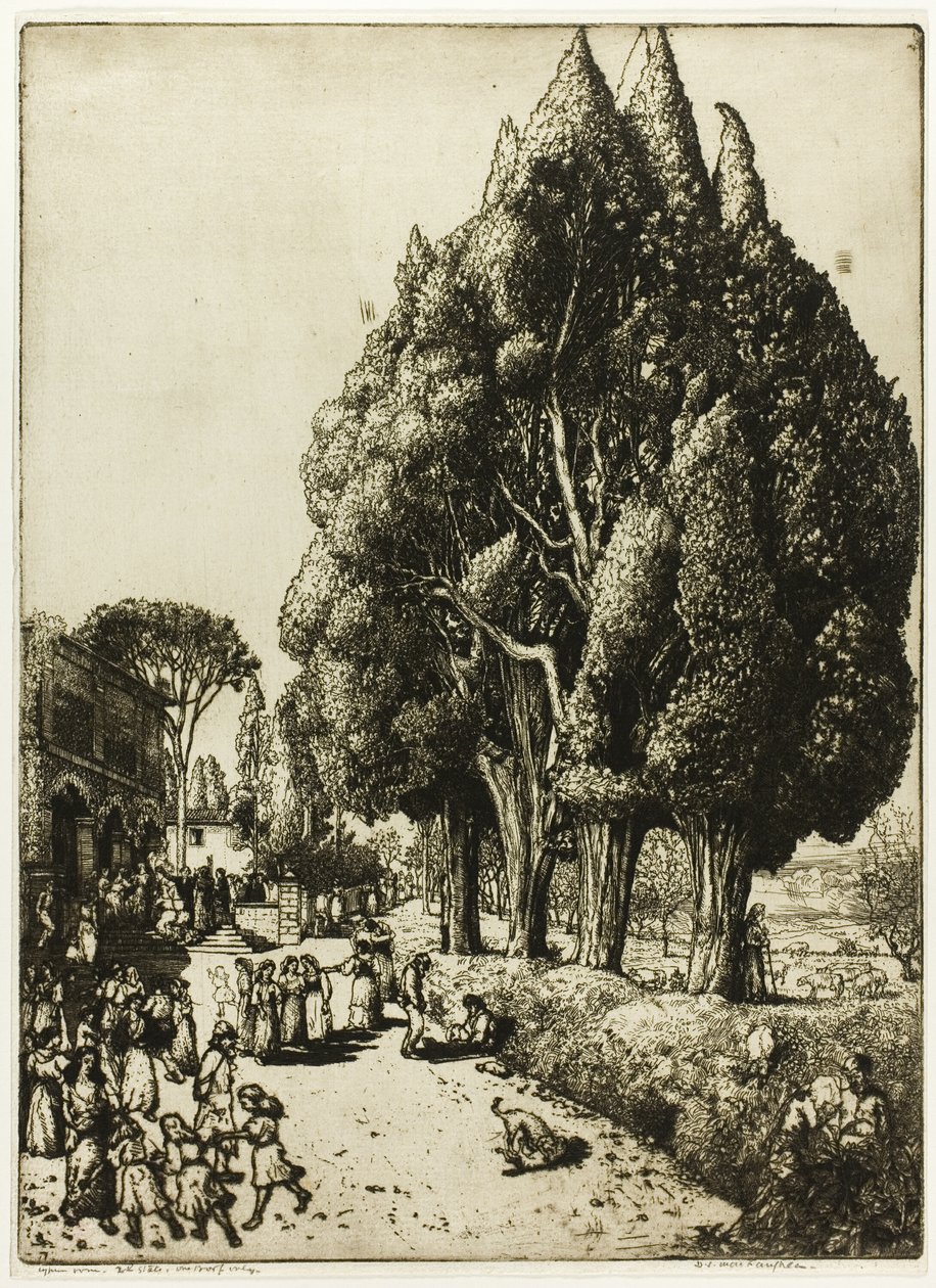 Cypress Grove de Donald Shaw MacLaughlan