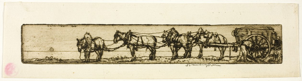 Cavalos de tiro de Donald Shaw MacLaughlan