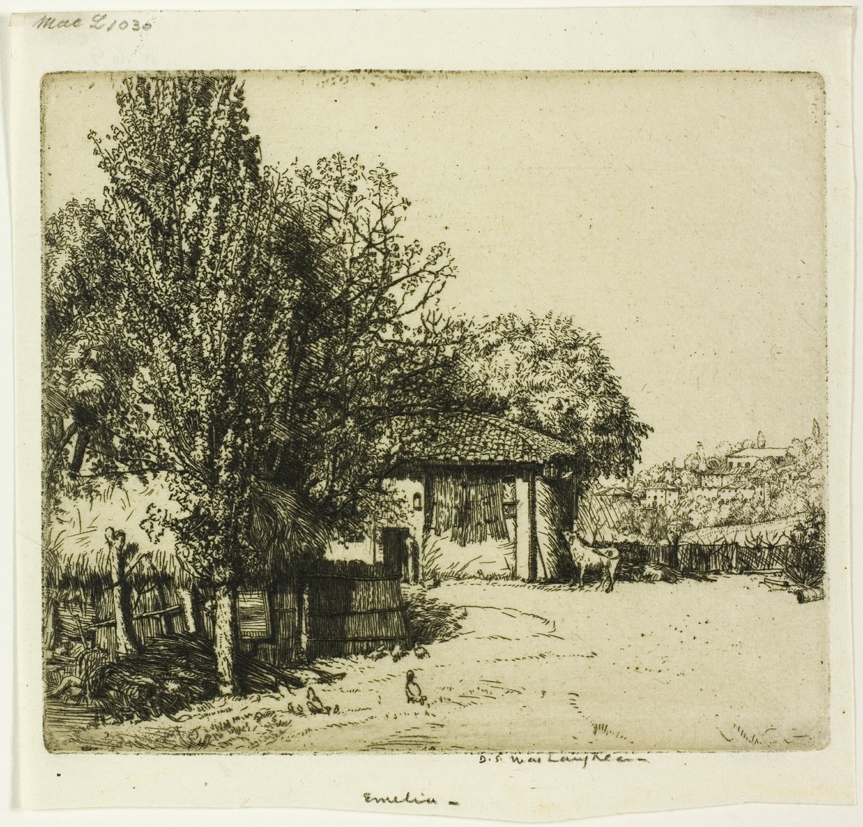 Emélia, Itália de Donald Shaw MacLaughlan