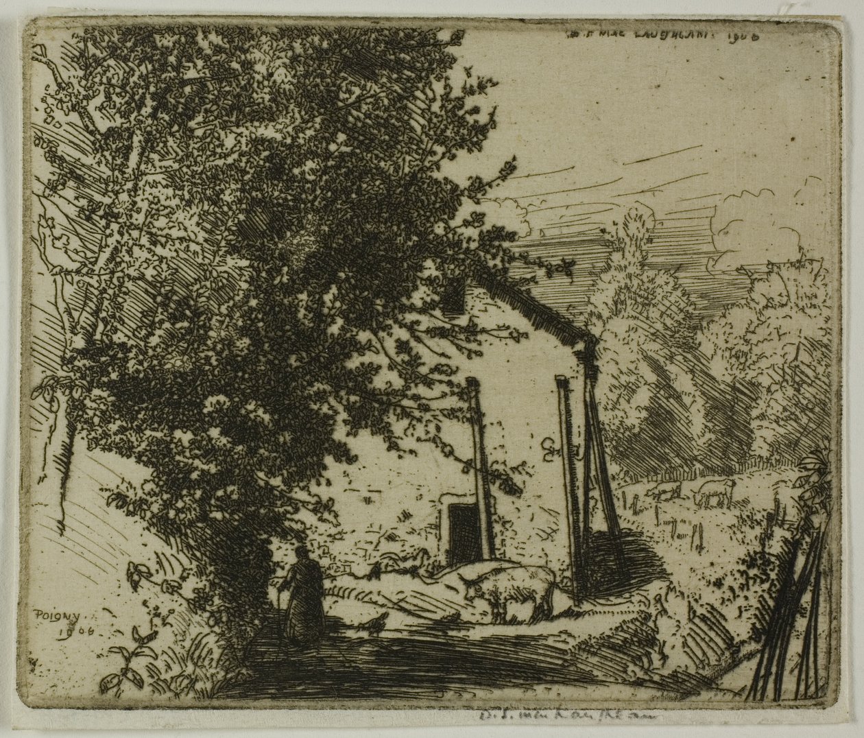 Little Poigny de Donald Shaw MacLaughlan