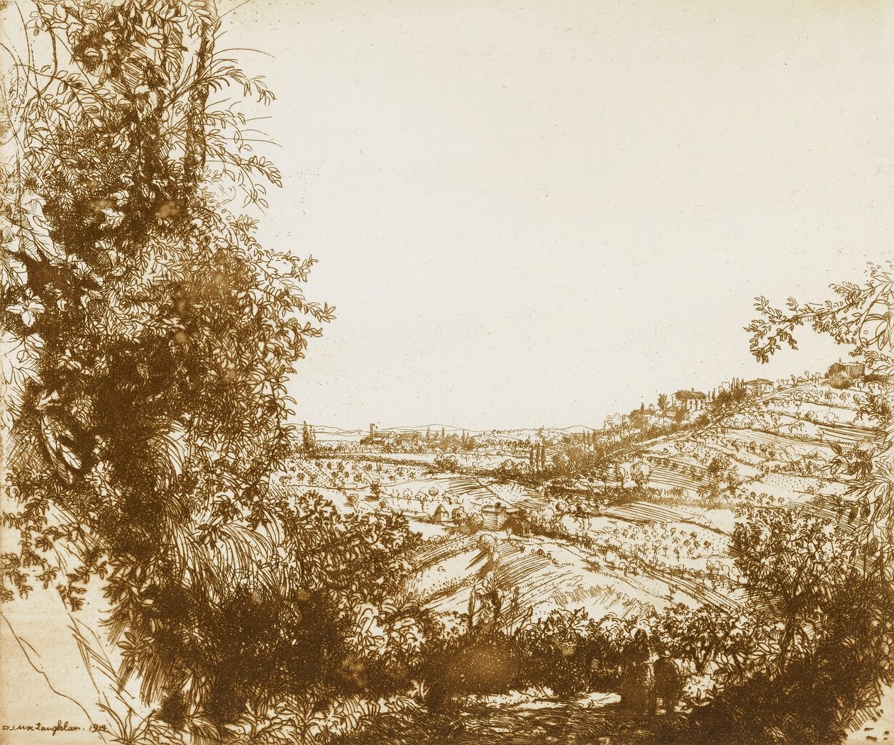 Olivais de Donald Shaw MacLaughlan