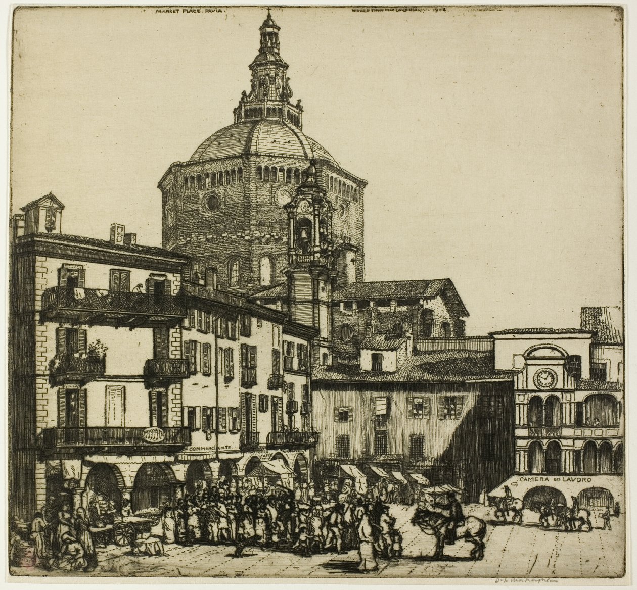 Pavia de Donald Shaw MacLaughlan