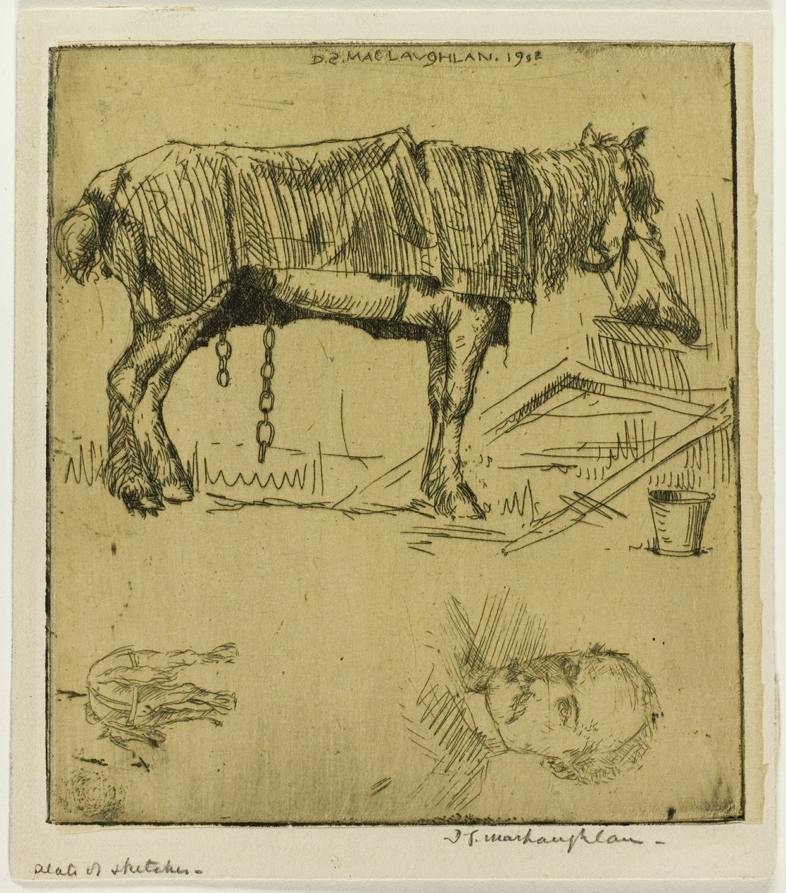 Prato de Esboços de Donald Shaw MacLaughlan