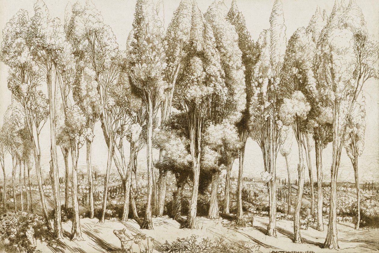 Canção de estrada no. 5 de Donald Shaw MacLaughlan