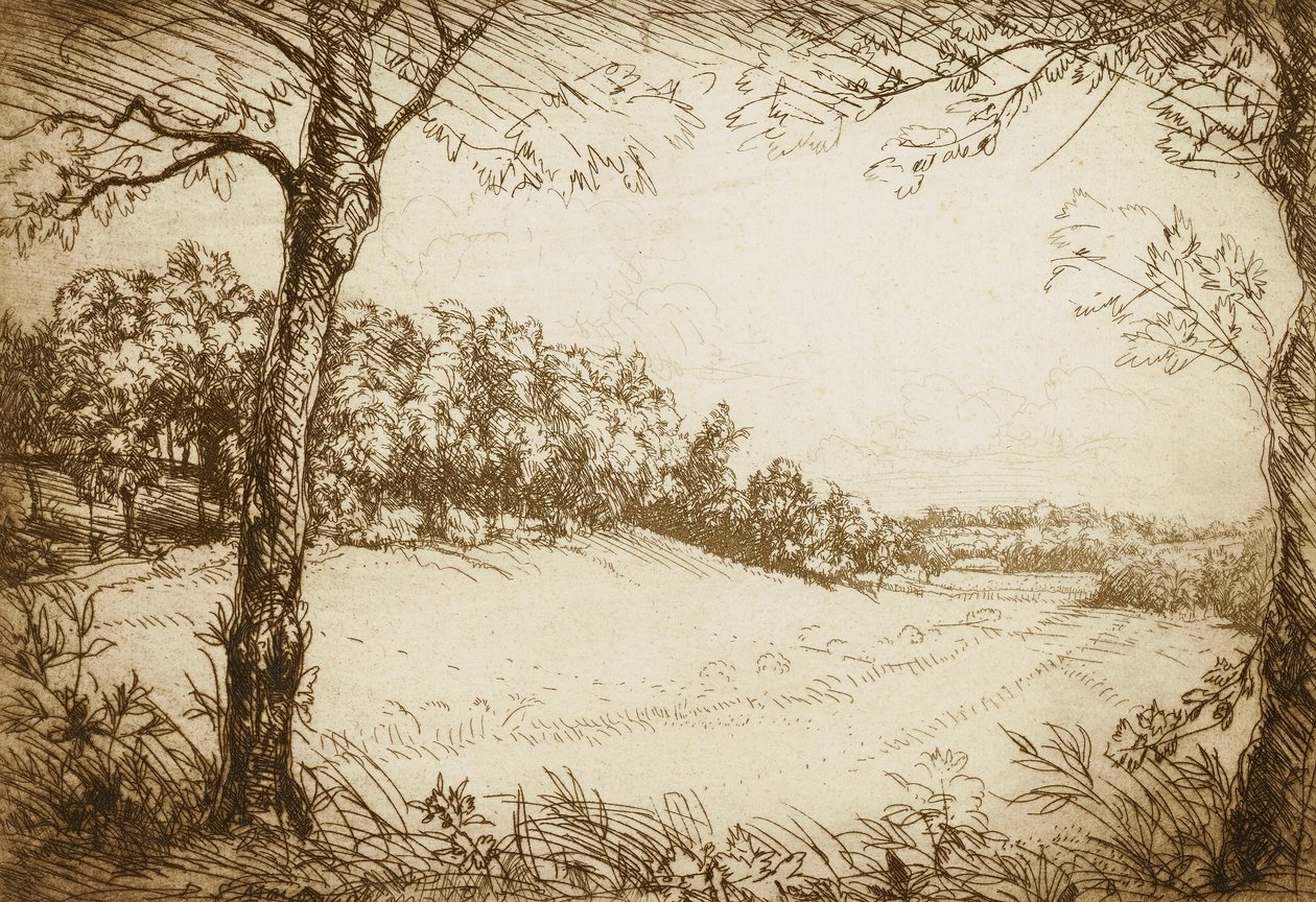 Manhã de verão no Tennessee de Donald Shaw MacLaughlan