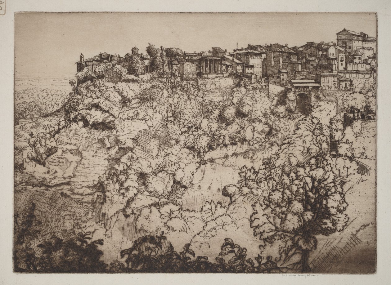 Tivoli de Donald Shaw MacLaughlan