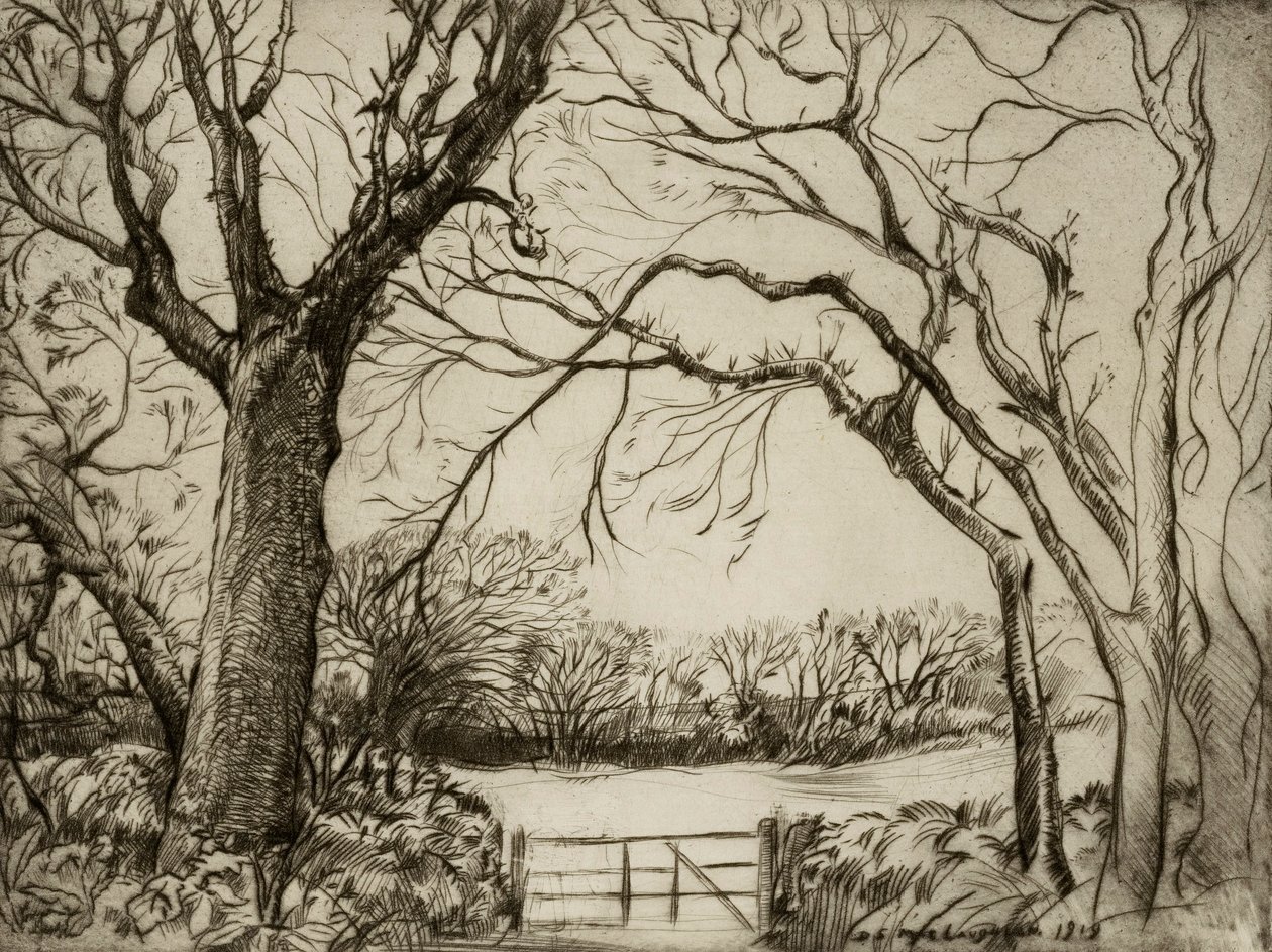 Tragenna Wood de Donald Shaw MacLaughlan