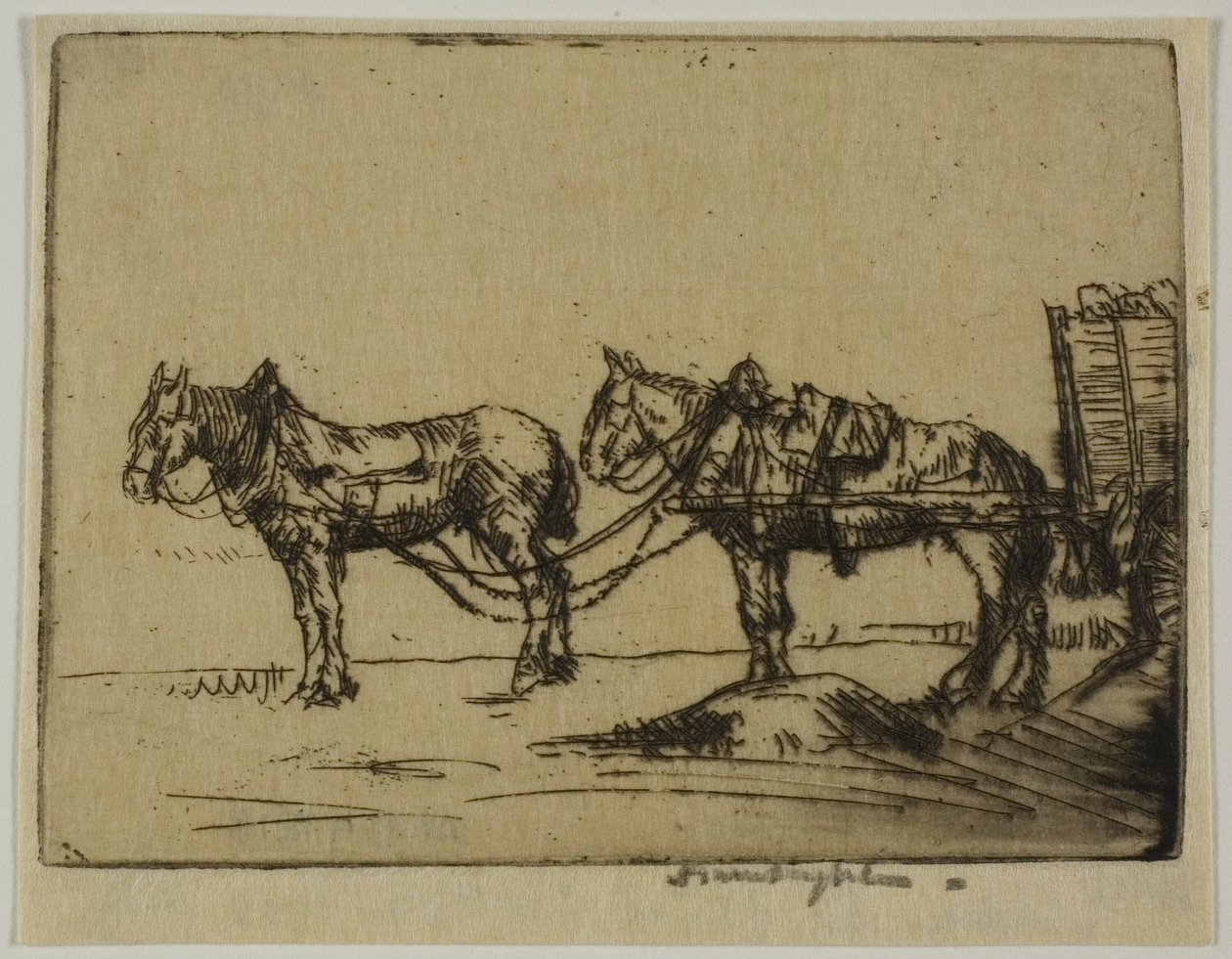 Dois cavalos de Donald Shaw MacLaughlan