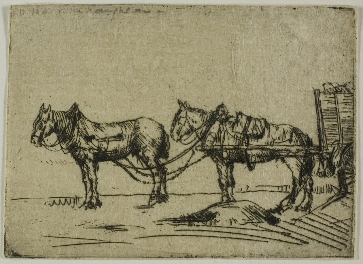 Dois cavalos de Donald Shaw MacLaughlan