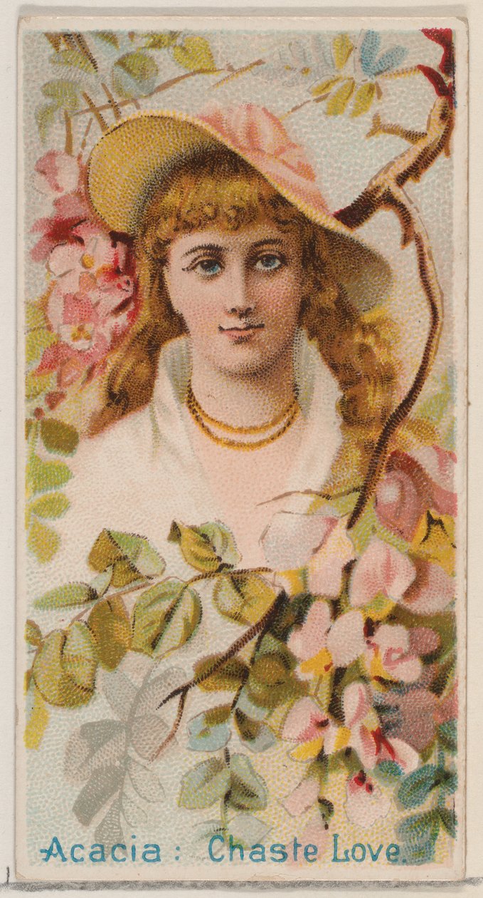 Acacia: Chaste Love, da série Floral Beauties and Language of Flowers N75 para Duk..., 1892. de Donaldson Brothers