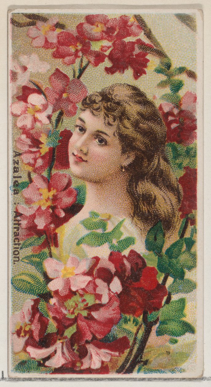 Azalea: Attraction, da série Floral Beauties and Language of Flowers N75 para Duke..., 1892. de Donaldson Brothers