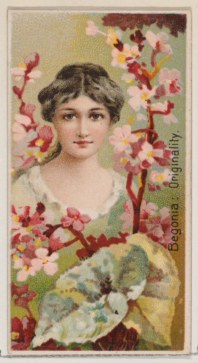 Begônia: Originalidade, da série Belezas Florais e Linguagem das Flores N75 para Du..., 1892. de Donaldson Brothers