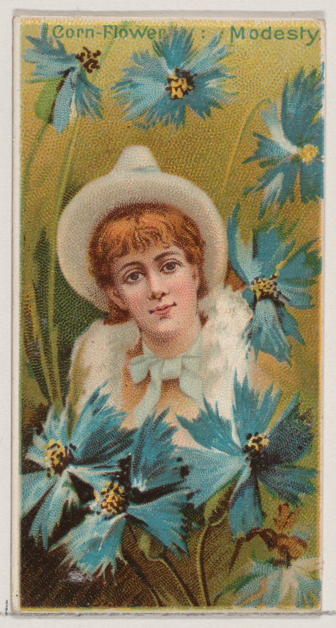 Centáurea: Modéstia, da série Belezas Florais e Linguagem das Flores N75 para Duk..., 1892. de Donaldson Brothers