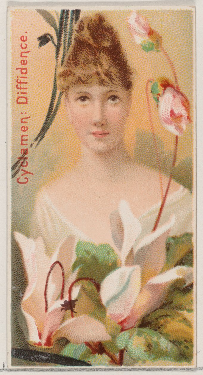 Cyclamen: Diffidence, da série Floral Beauties and Language of Flowers N75 para Du..., 1892. de Donaldson Brothers