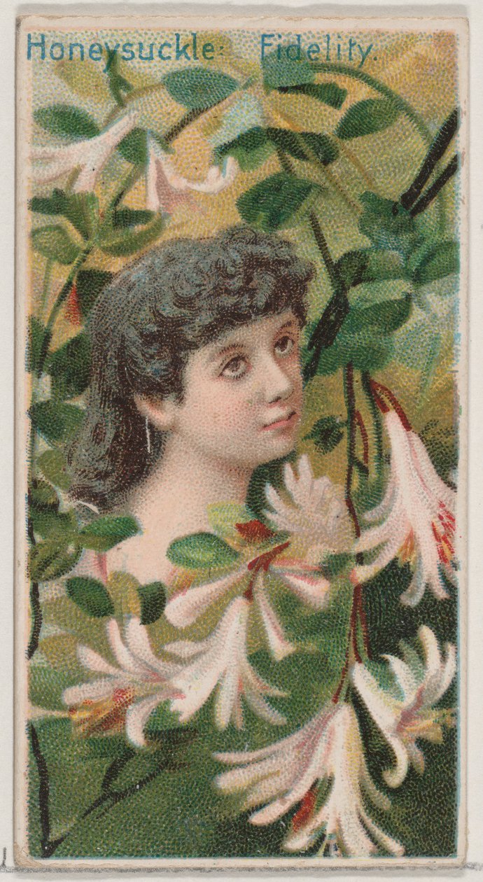 Floresta. de Donaldson Brothers