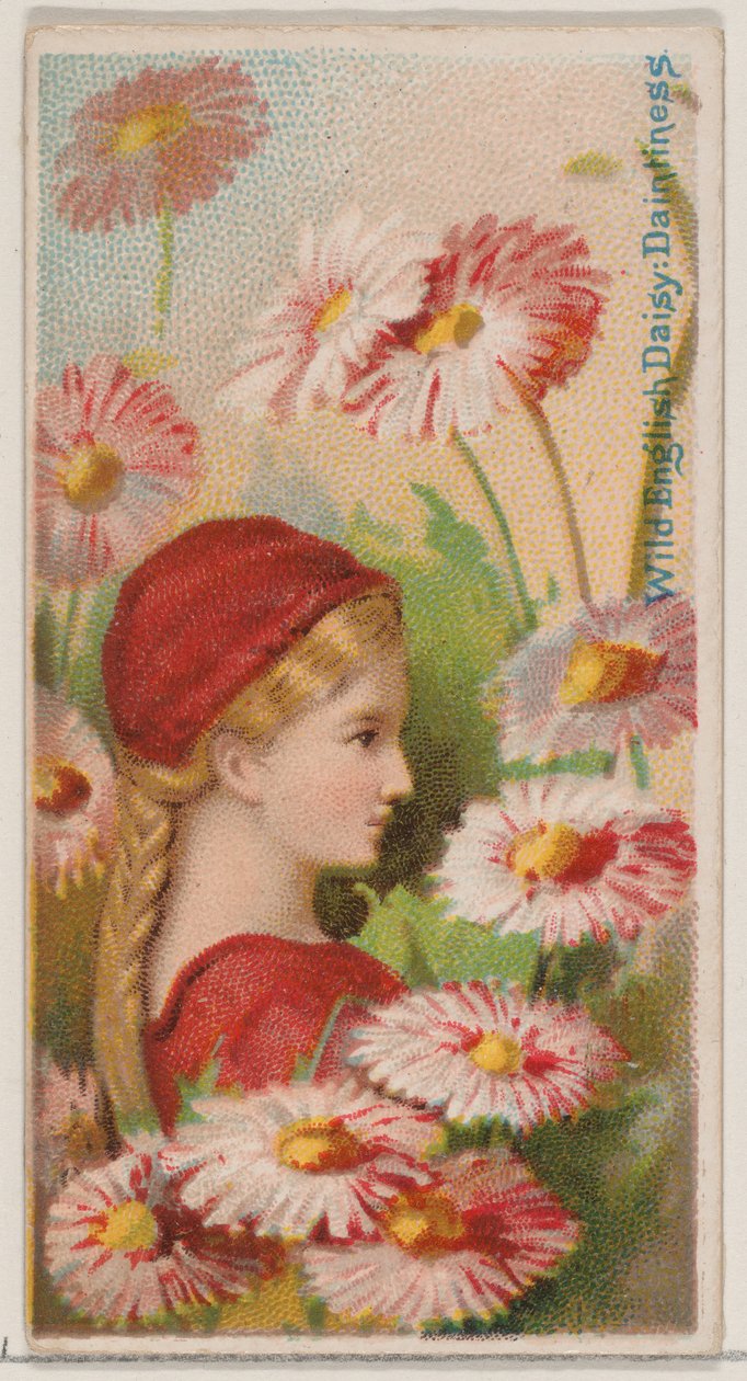 Wild English Daisy: Daintiness, da série Floral Beauties and Language of Flowers N..., 1892. de Donaldson Brothers