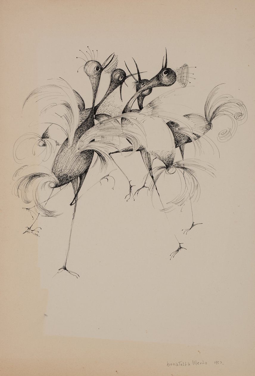 Pássaros de Donatella Merlo