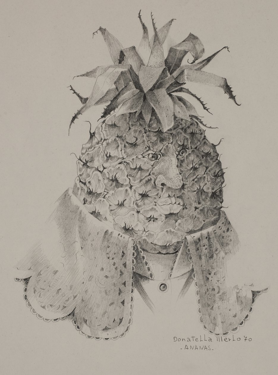 Abacaxi de Donatella Merlo