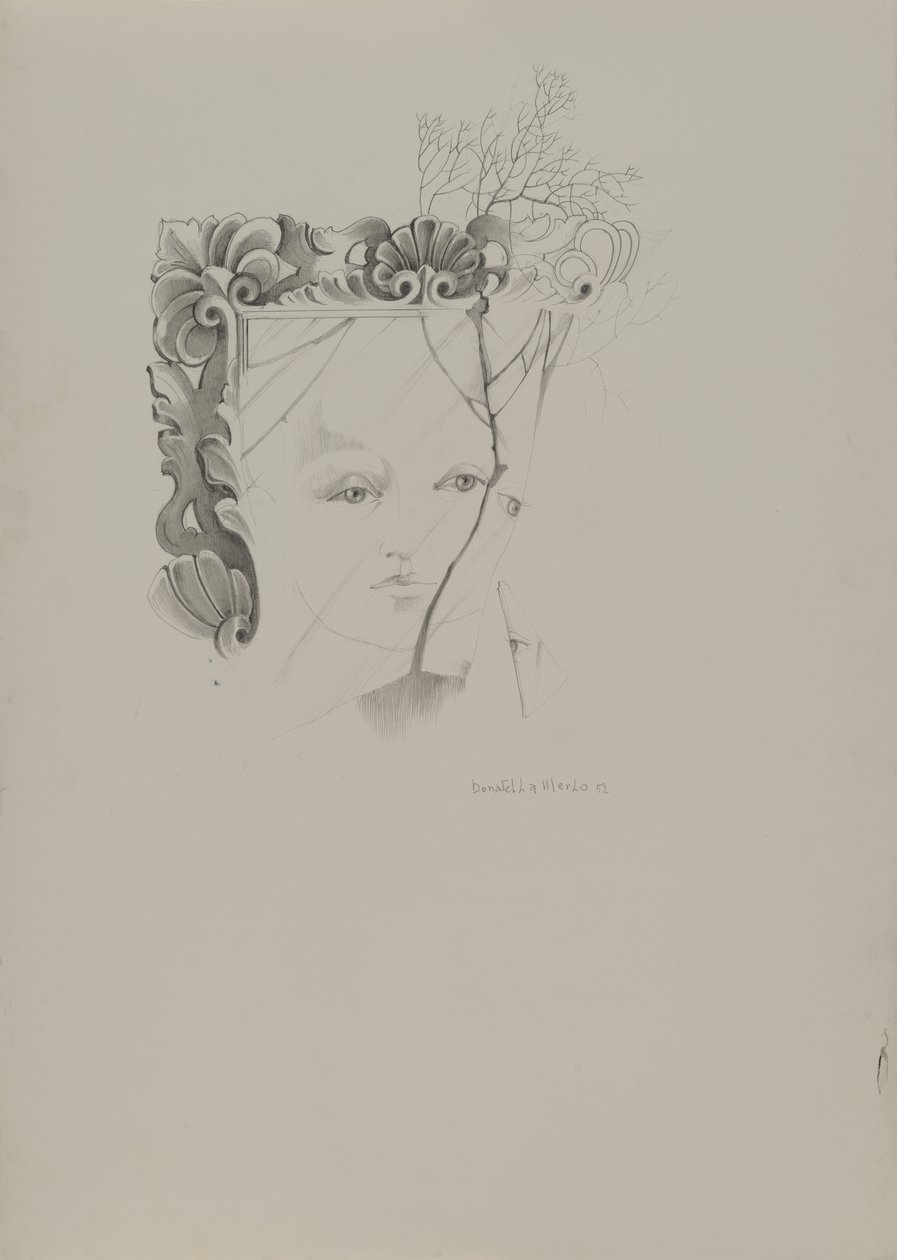 Retrato no espelho de Donatella Merlo