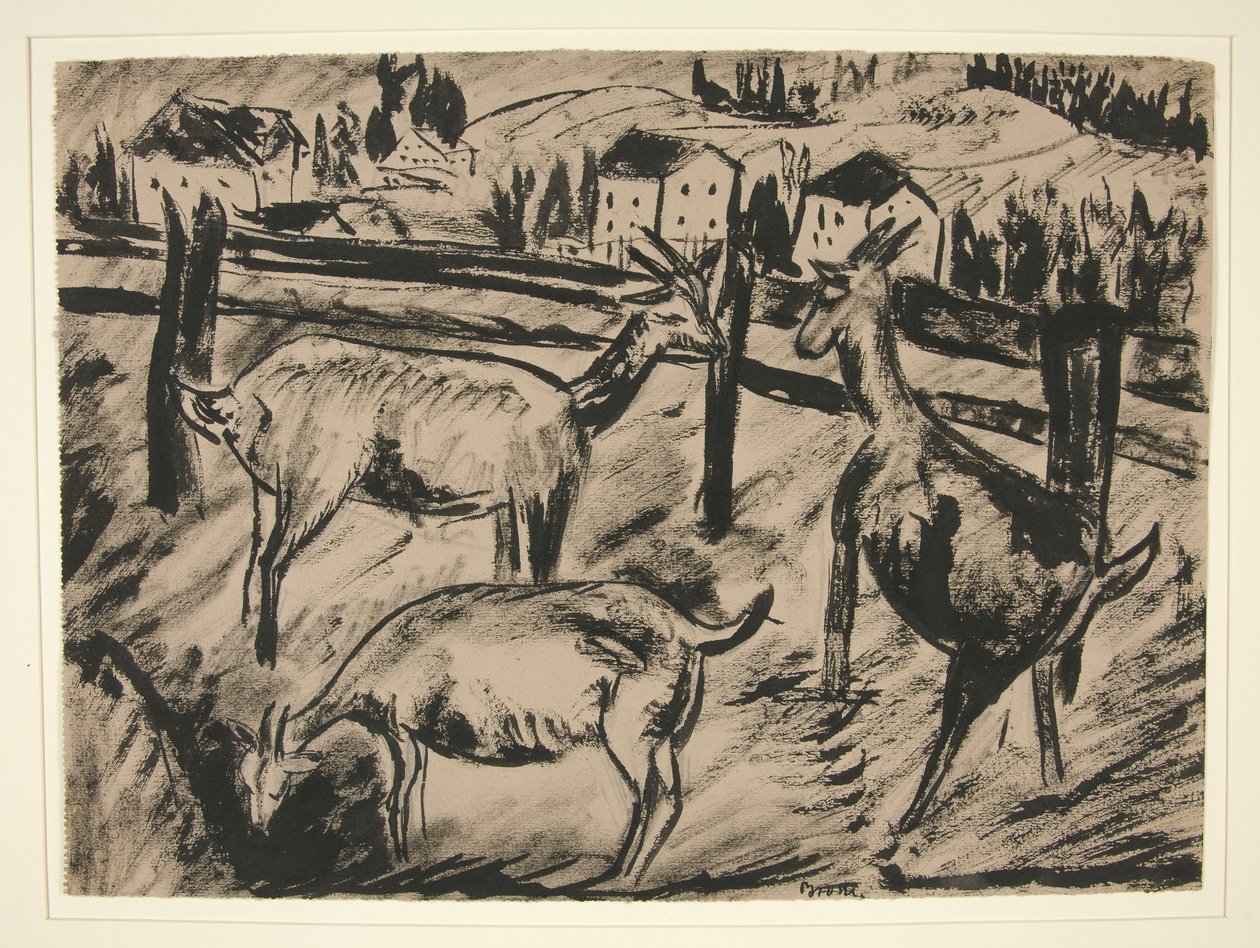 Cabras e paisagem de Dora Bromberger