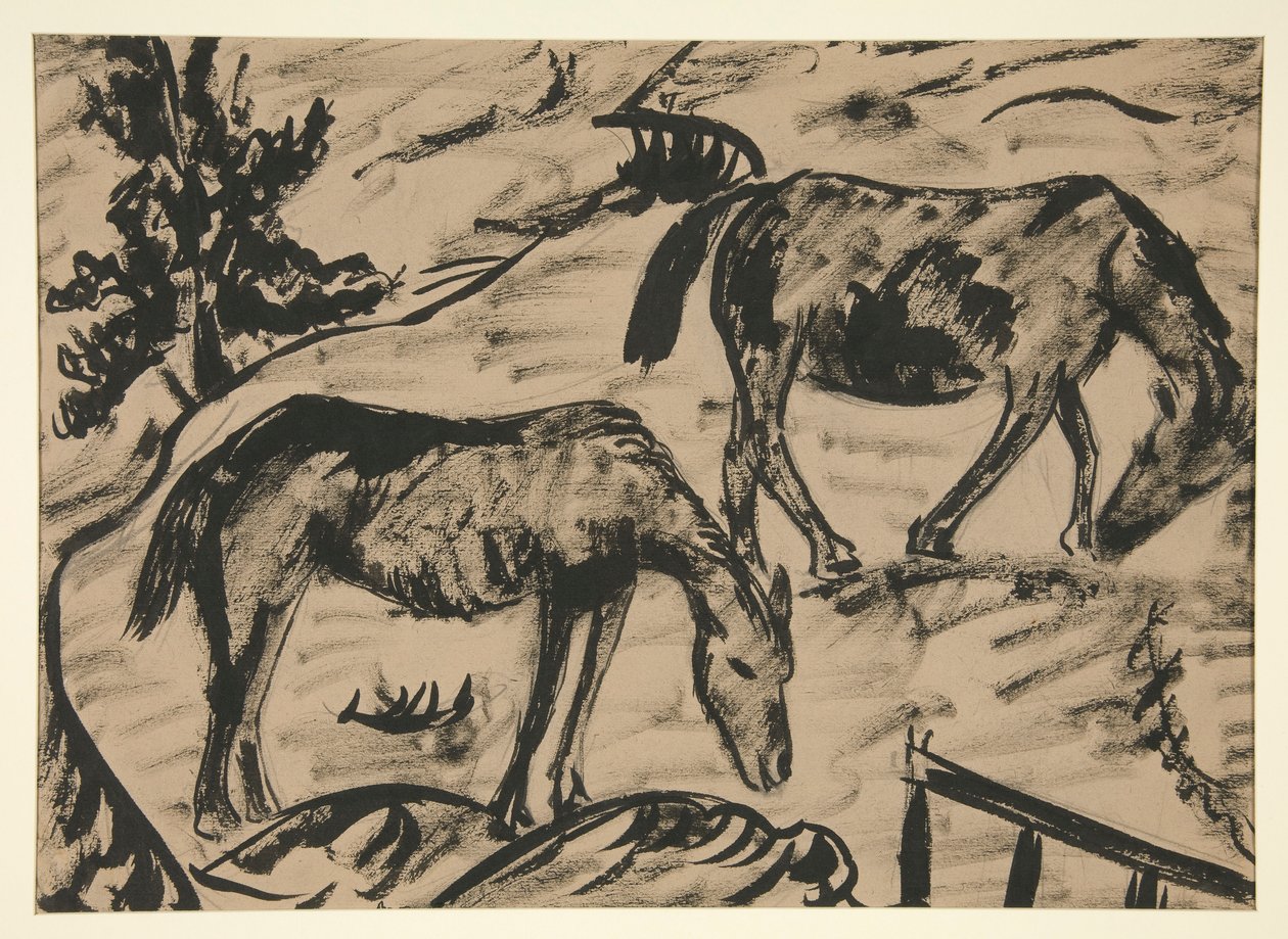 Cavalos de Dora Bromberger