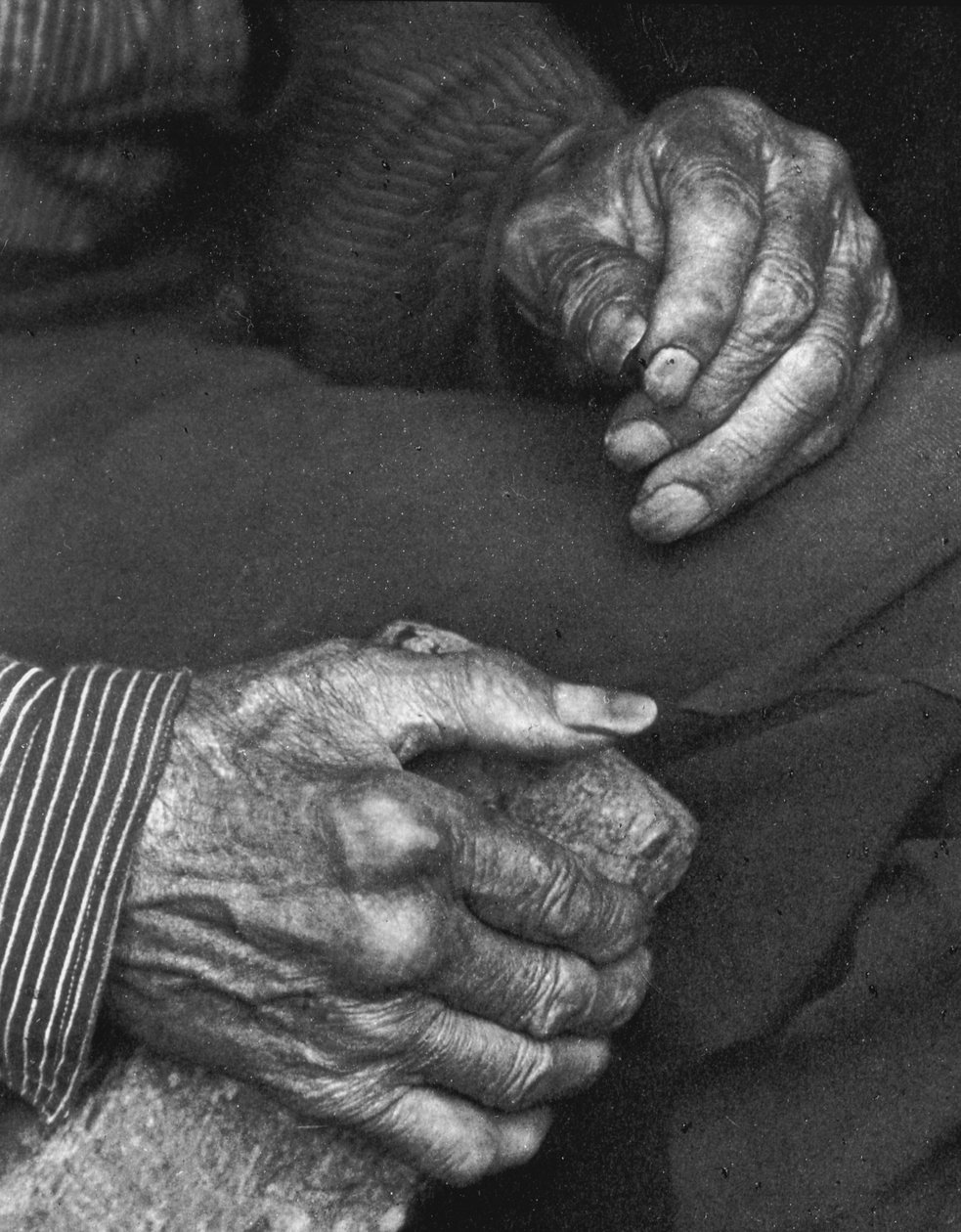 Mãos de um trabalhador, 1925 de Doris Ulmann