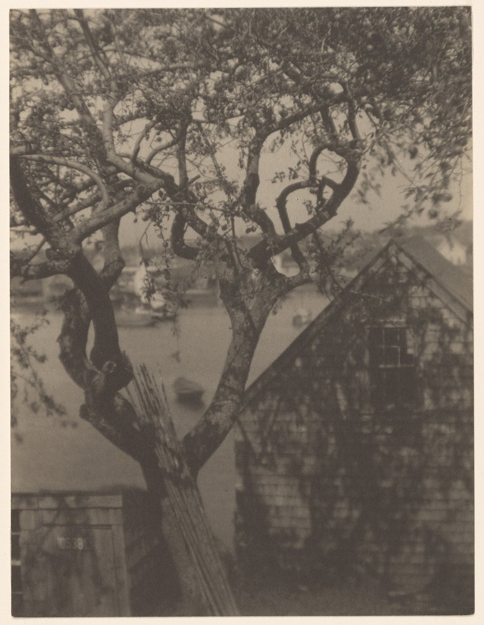 Cena do porto, provavelmente Gloucester, Massachusetts de Doris Ulmann