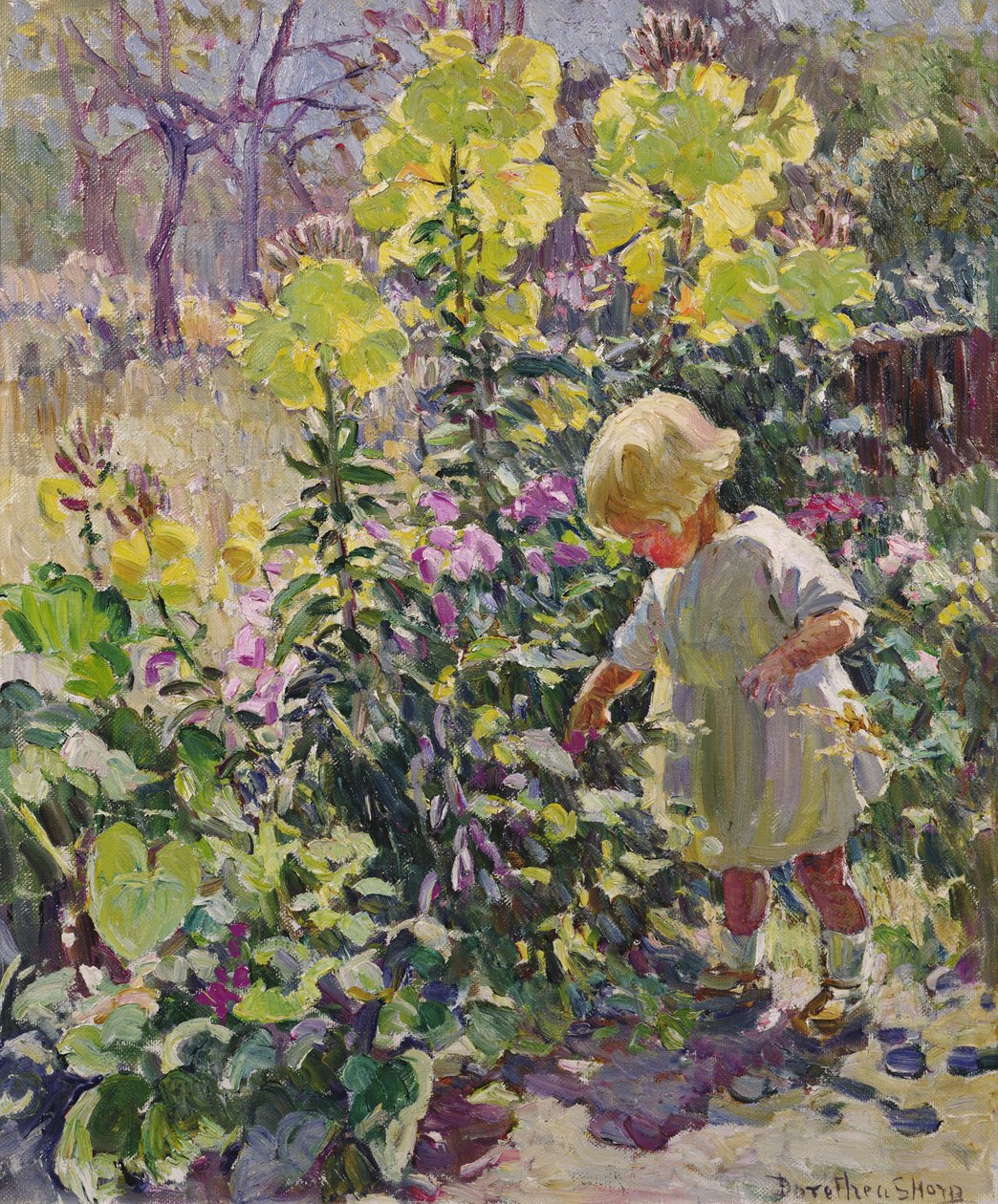 de Dorothea Sharp